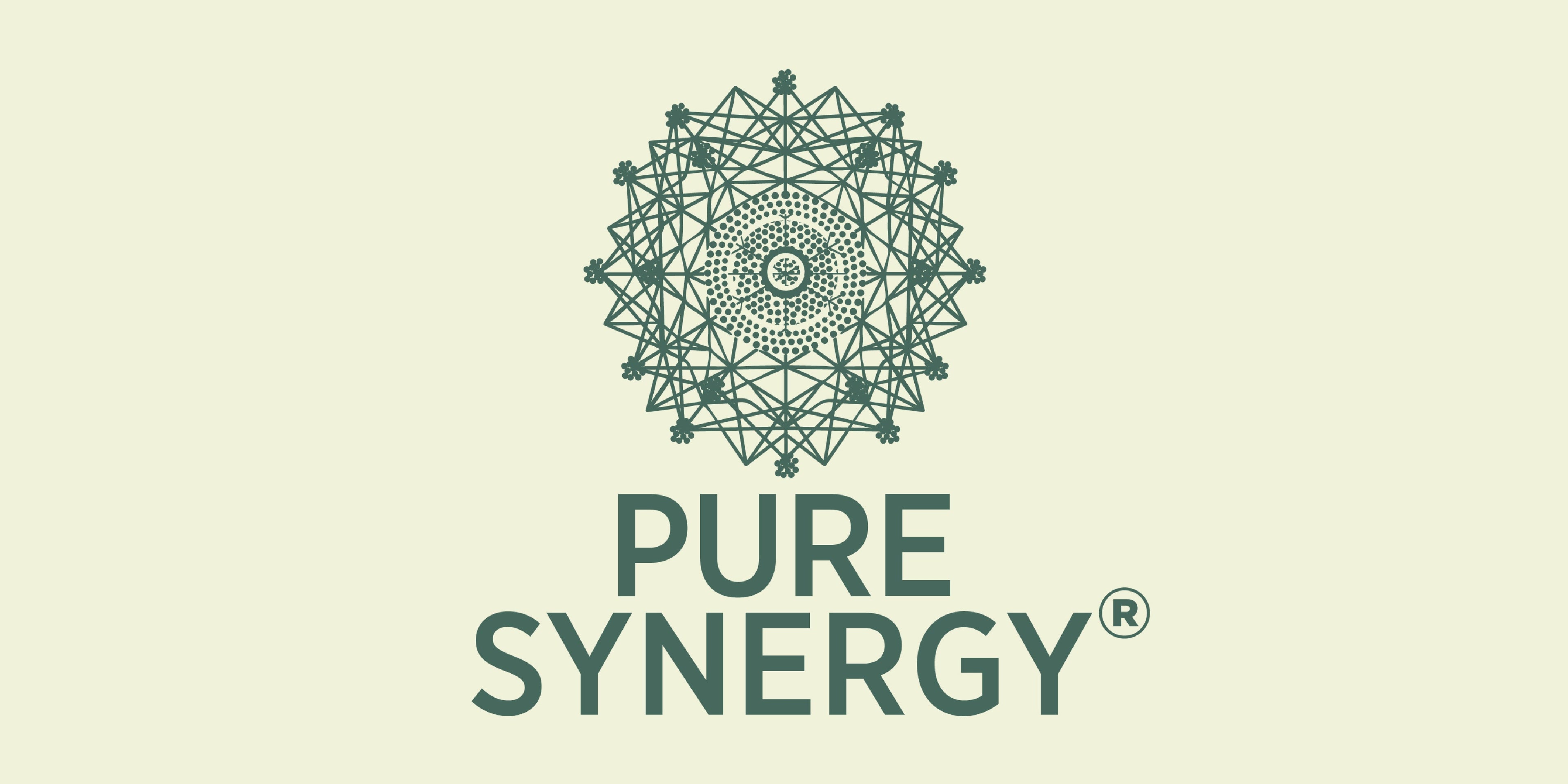 pure synergy company 